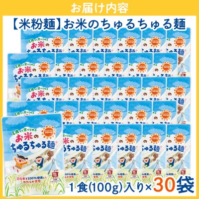 【米粉麺】お米のちゅるちゅる麺 100g×30袋 FY26-115