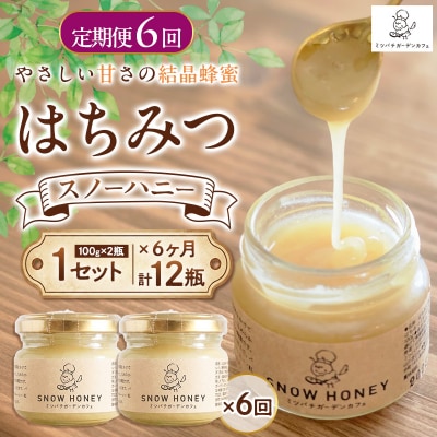 【定期6ヶ月】【やさしい甘さの結晶蜂蜜】はちみつ「スノーハニー」(100g×2瓶) FY26-099