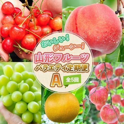 【定期便5回】おいしい!ジューシー!山形フルーツ バラエティ定期便A FY26-216