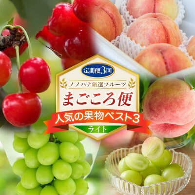 【定期便3回】ノノハナ厳選フルーツ まごころ便 人気の果物ベスト3 ライト  FY26-217