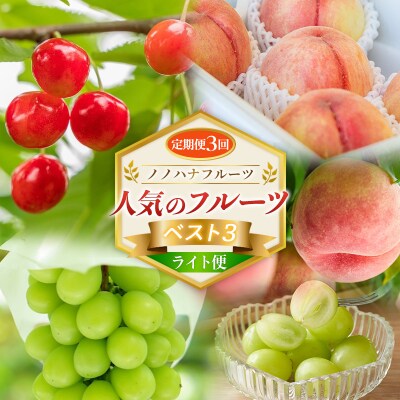 【定期便3回】ノノハナフルーツ 人気のフルーツベスト3 ライト便 FY26-222