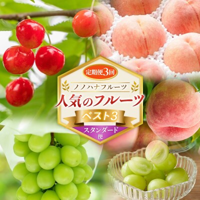 【定期便3回】ノノハナフルーツ 人気のフルーツベスト3 スタンダード便 FY26-223