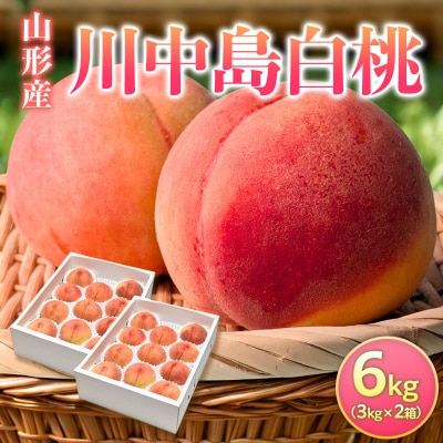 山形産 川中島白桃 6kg(3kg×2箱) FY26-230