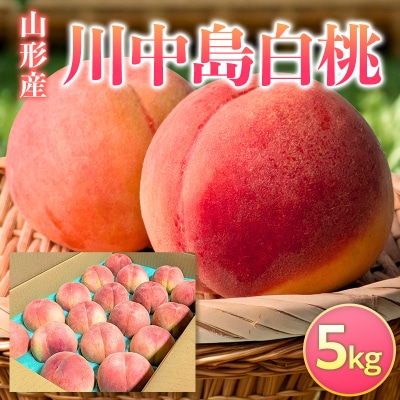 山形産 川中島白桃 5kg FY26-231