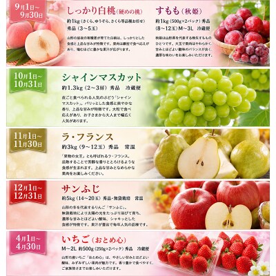 【定期便5回】やまがた秋冬果実紀行 ～旬果五選～ FY26-229