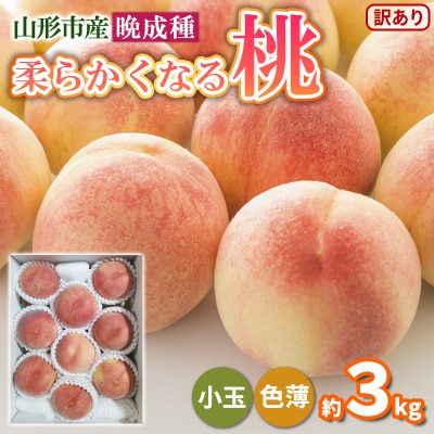 柔らかくなる桃 晩成種 約3kg  訳あり FY25-297