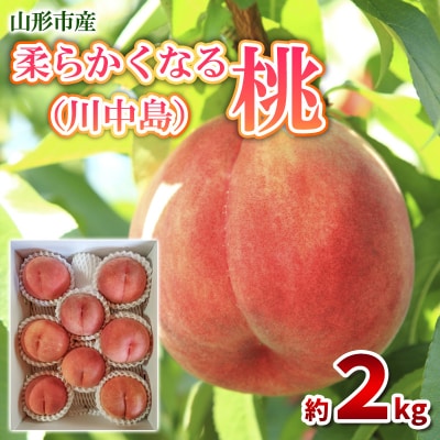 柔らかくなる桃 特秀 約2kg (6～9玉) [川中島]  FY25-295