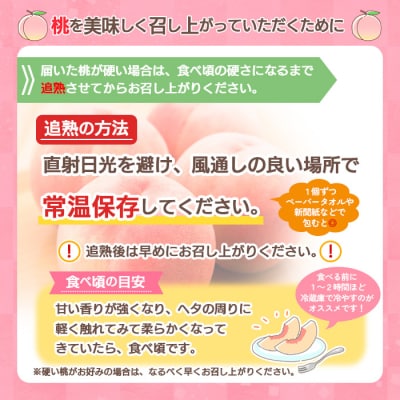 柔らかくなる桃 特秀 約2kg (6～9玉) [川中島]  FY25-295