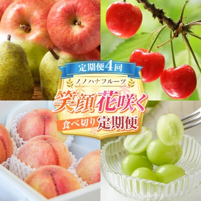 【定期便4回】ノノハナフルーツ 笑顔花咲く 食べ切り定期便  FY26-232