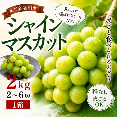★ご家庭用★シャインマスカット 2kg 2~6房 見た目で選ばれなかっただけ  FY26-250