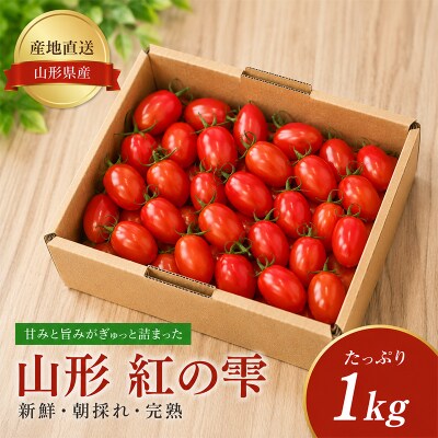 ミニトマト「山形 紅の雫」1kg FY26-267