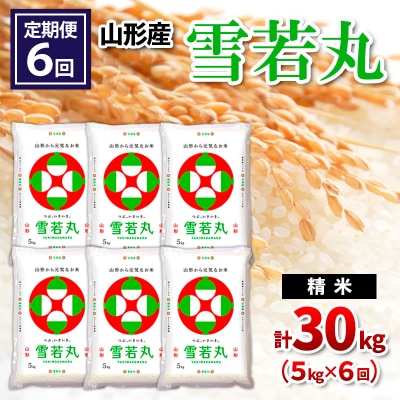 【令和8年産】 【定期便6回】山形産 雪若丸 精米 5kg×6回 FY26-260