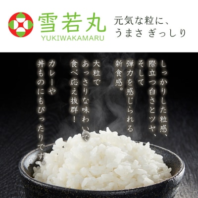 【令和8年産】 【定期便6回】山形産 雪若丸 精米 5kg×6回 FY26-260