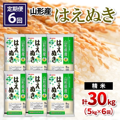 【令和8年産】 【定期便6回】山形産 はえぬき 精米 5kg×6回 FY26-265