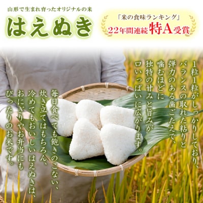 【令和8年産】 【定期便6回】山形産 はえぬき 精米 5kg×6回 FY26-265