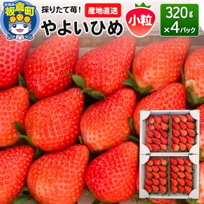 いちご(やよいひめ)小粒 4パック 採りたて苺!産地直送|13_fjf-020401