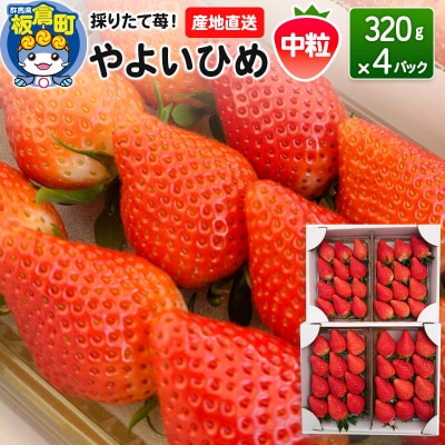 いちご(やよいひめ)中粒 4パック 採りたて苺!産地直送|13_fjf-030401
