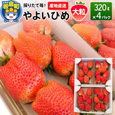 いちご(やよいひめ)大粒 4パック 採りたて苺!産地直送|13_fjf-040401