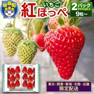 いちご「紅ほっぺ」9粒～ (2パック計830g以上)1粒35g以上|13_grf-010101