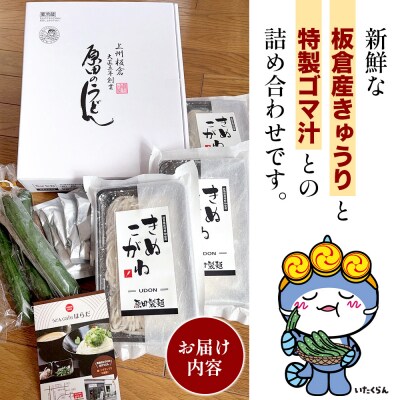 板倉きゅうりの冷汁うどん 詰合せ6人前|13_hds-020601