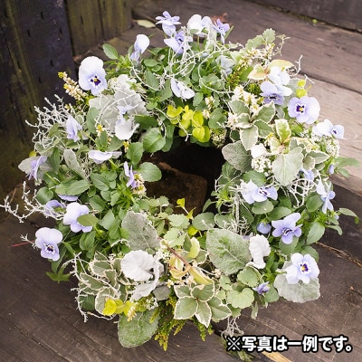 ハンギングリース　季節のアレンジ (寒色系) 直径約40cm|13_ymn-010201