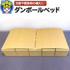 ダンボールベッド|13_grp-010101