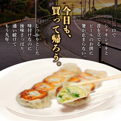 こだわりの手作り 餃子・焼売セット 6種(計58個)|13_mfg-010101