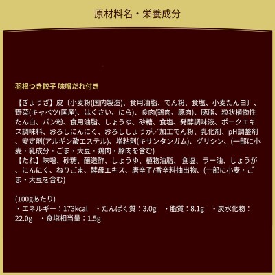 大阪王将 羽根つき餃子味噌だれ付き 12袋セット|13_nnb-021201
