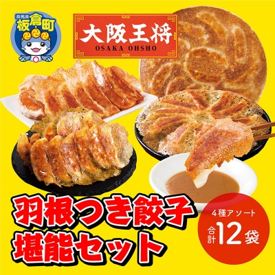 大阪王将 羽根つき餃子堪能セット(4種アソート)計12袋|13_nnb-060101
