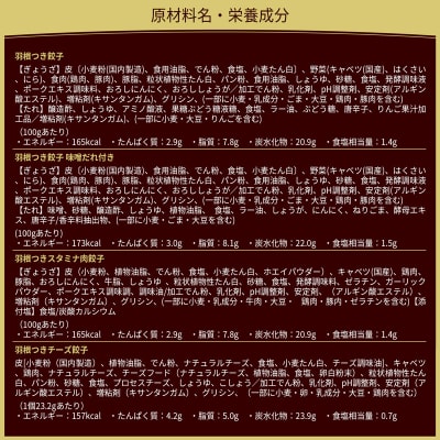 大阪王将 羽根つき餃子堪能セット(4種アソート)計12袋|13_nnb-060101