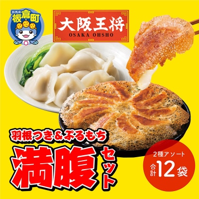 大阪王将 羽根つき&ぷるもち満腹セット(2種アソート)計12袋|13_nnb-080101