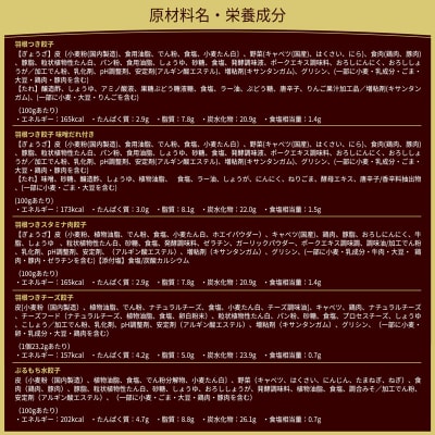 大阪王将 餃子de満腹バラエティセット(5種アソート)計28袋|13_nnb-090101