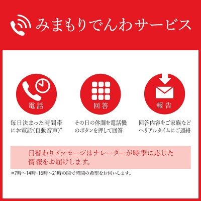 郵便局のみまもりサービス「みまもりでんわサービス(携帯電話)」(3カ月)|13_npy-030301