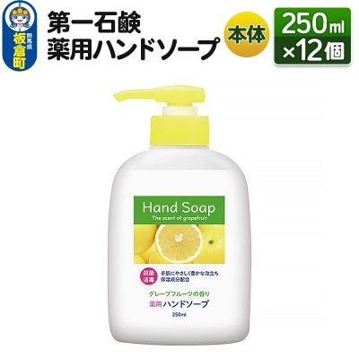 第一石鹸 薬用ハンドソープ 本体 250ml×12個|13_bsa-321201