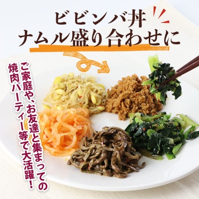 ビビンバ丼キット(2セット)|13_mry-010201