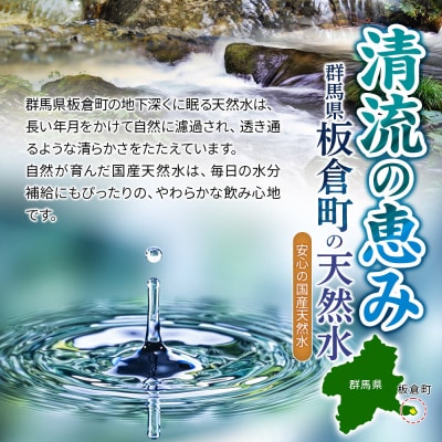 水 《定期便8ヶ月》 ピュアの森 500ml 24本×1箱|13_vic-012408