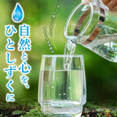 水 《定期便11ヶ月》 ピュアの森 500ml 24本×2箱 計48本|13_vic-014811