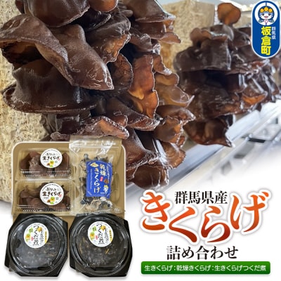 きくらげ 詰め合わせセット 群馬県産 3種 計5個|13_sko-010101