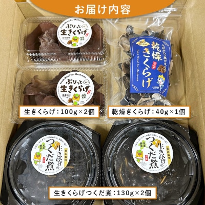 きくらげ 詰め合わせセット 群馬県産 3種 計5個|13_sko-010101