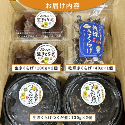 きくらげ 詰め合わせセット 群馬県産 3種 計5個|13_sko-010101
