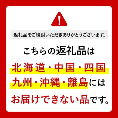 水《定期便6ヶ月》【ラベルレス】ピュアの森 500ml 24本×1箱|13_vic-012406a