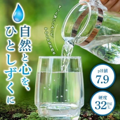 水 【ラベルレス】ミネラルウォーター ピュアの森 2L 6本×1箱|13_vic-020601a