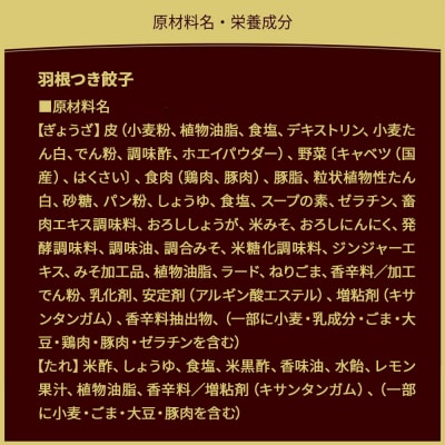 大阪王将 羽根つき餃子 4袋セット|13_nnb-010401