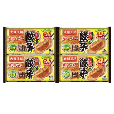 大阪王将 羽根つき餃子 4袋セット|13_nnb-010401