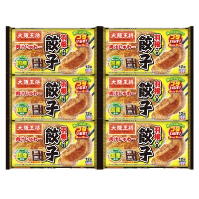 大阪王将 羽根つき餃子 6袋セット|13_nnb-010601