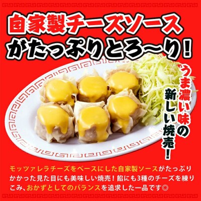 大阪王将 とろ～りチーズしゅうまい 6個入り 6袋セット|13_nnb-110601