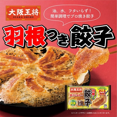 大阪王将 羽根つき餃子4袋セット×なにわのジューシー焼売 6袋セット|13_nnb-131001