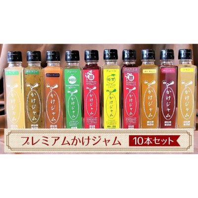 プレミアムかけジャム中びん 195g×10本セット