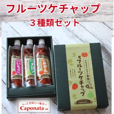 【フルーツケチャップ】 苺、メロン、みかんの3種類セットレシピ付き