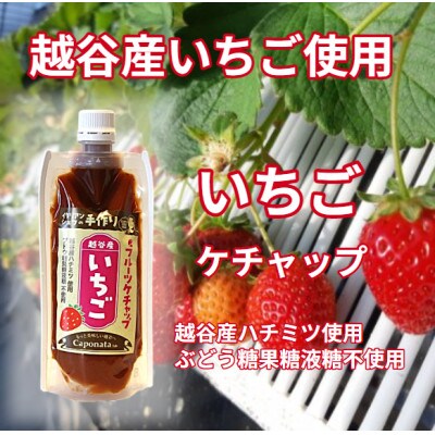 【フルーツケチャップ】 苺、メロン、みかんの3種類セットレシピ付き